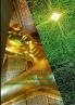 Buddhismus und naturwissenschaftliches Denken
