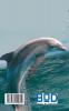 Delfin (Notizbuch)