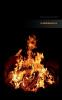 Logbuch (Internet Organizer und Passwortbuch (Red Hot Data))