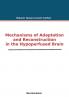 Mechanisms of Adaptation and Reconstruction in the Hypoperfused Brain