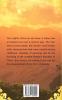 Introduction to the History of China: The Development from 1900 Until Today