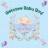 Welcome Baby Boy!