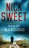 Bad in Bardino