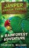 A Rainforest Adventure