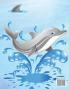 Delfín Libro para Colorear: Libro para colorear con adorables diseños de delfines para niños mayores de 3 años con hermosas ilustraciones. Hemos ... tu creatividad y hagas obras maestras.