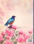 Birds Coloring Book: Relaxing and Stress Relieving Coloring Book 40 Amazing and Cute Butterflies for Color Gift Idea for Womens and Mens