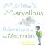 Marlow's Marvellous Adventure to the Mountains