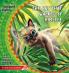 The Cat that Walked by Himself. How the Rhinoceros Got His Skin.: The Best of Just So Stories: 4 (Illustrated Children's Classics Collection)