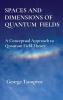 SPACES AND DIMENSIONS OF QUANTUM  FIELDS