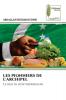 LES PIONNIERS DE L'ARCHIPEL