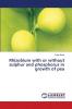 Rhizobium with or without sulphur and phosphorus in growth of pea