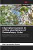 Chyropterocenosis in coffee plantations of Guamuhaya Cuba