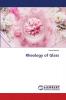 Rheology of Glass
