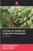 CULTURA DO PEPINO EM CONDIÇÕES PROTEGIDAS