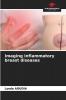 Imaging inflammatory breast diseases