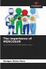 The importance of MERCOSUR