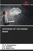 MYSTERIES OF THE HUMAN BRAIN