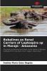 Bubalinos as Renal Carriers of Leptospira sp in Marajó - Amazonia: Serologic prevalence and renal carrier status in Marajoa buffaloes from the Arari micro-region, Pará, Brazil