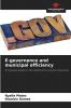 E-governance and municipal efficiency
