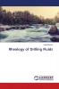 Rheology of Drilling Fluids