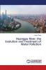 Huangpu River: the Evolution and Treatment of Water Pollution