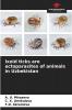 Ixoid ticks are ectoparasites of animals in Uzbekistan