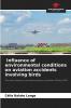 Influence of environmental conditions on aviation accidents involving birds