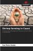 Shrimp farming in Cear��
