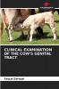 CLINICAL EXAMINATION OF THE COW'S GENITAL TRACT