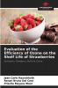Evaluation of the Efficiency of Ozone on the Shelf Life of Strawberries