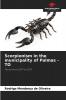 Scorpionism in the municipality of Palmas - TO