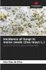 Incidence of fungi in maize seeds (Zea mays L.)