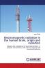 Electromagnetic radiation in the human brain origin and evolution