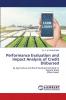 Performance Evaluation and Impact Analysis of Credit Disbursed