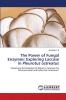The Power of Fungal Enzymes: Exploring Laccase in Pleurotus ostreatus