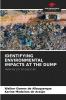 IDENTIFYING ENVIRONMENTAL IMPACTS AT THE DUMP