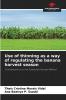 Use of thinning as a way of regulating the banana harvest season