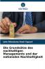 Die Grundsätze des nachhaltigen Managements und der nationalen Nachhaltigkeit