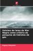 Vulcões de lama do Mar Negro como critério de pesquisa de hidratos de gás