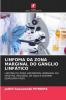 LINFOMA DA ZONA MARGINAL DO GÂNGLIO LINFÁTICO