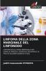 LINFOMA DELLA ZONA MARGINALE DEL LINFONODO