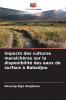 Impacts des cultures maraîchères sur la disponibilité des eaux de surface à Babadjou