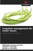 Irrigation management for meter beans