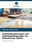 Arbeitsbeziehungen und Arbeitsbedingungen im öffentlichen Sektor
