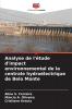 Analyse de l'étude d'impact environnemental de la centrale hydroélectrique de Belo Monte