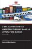 L'UTILISATION D'UNITÉS LINGUOCULTURELLES DANS LA LITTÉRATURE OUZBEK