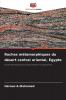 Roches métamorphiques du désert central oriental Égypte