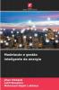 Modelação e gestão inteligente da energia