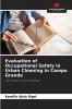 Evaluation of Occupational Safety in Urban Cleaning in Campo Grande
