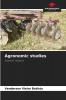 Agronomic studies